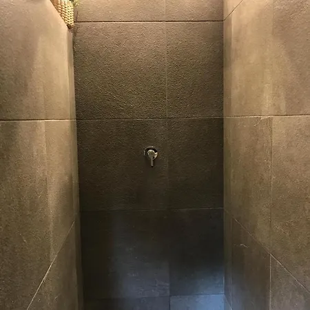 Bico Flores Praia de Mira