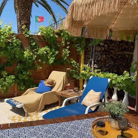 Vakantiehuis Bico Flores *