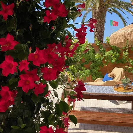 Bico Flores Vakantiehuis