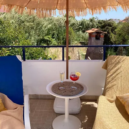 Bico Flores Praia de Mira