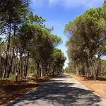 Holiday home Bico Flores