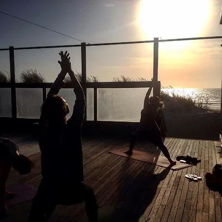 Bico Flores Praia de Mira