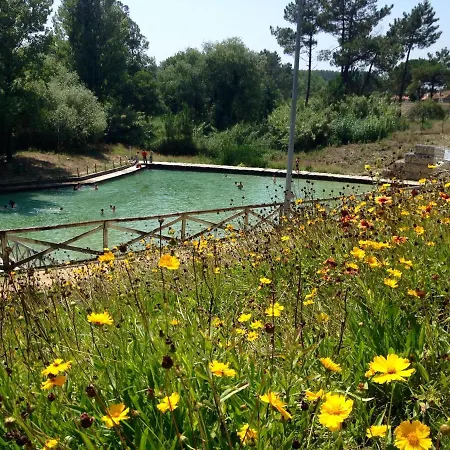 Bico Flores Praia de Mira