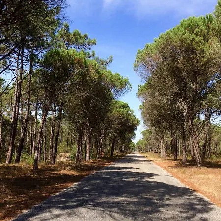 Hébergement de vacances Bico Flores