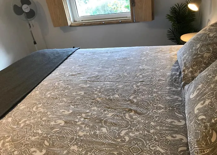 Casa de Férias Bico Flores Praia de Mira