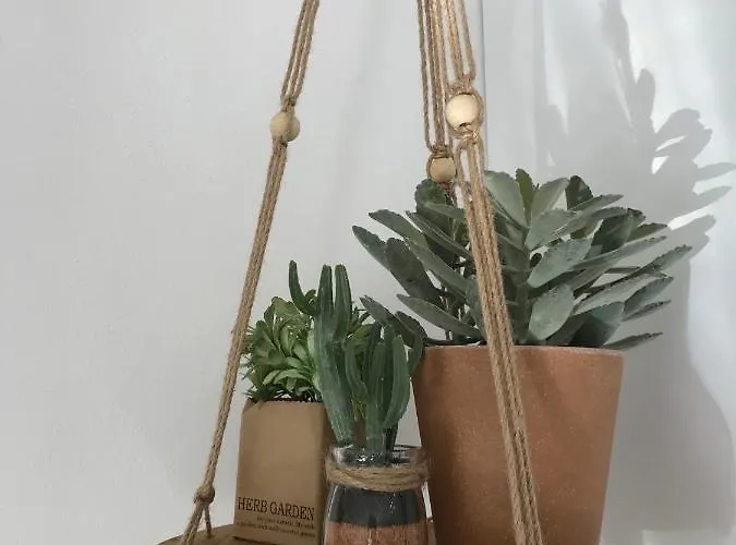 Bico Flores Casa de Férias *