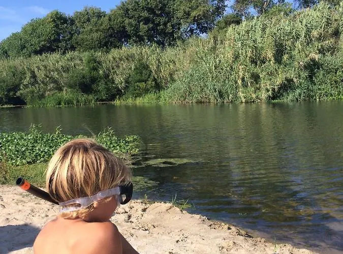 Bico Flores Casa de Férias *