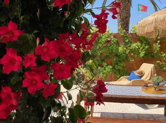 Bico Flores Casa de Férias